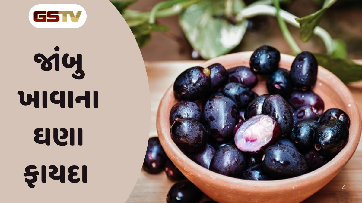 Health Tips : ડાયાબિટીસથી પાચન સુધી... જાંબુ છે વરસાદી ઋતુનો સુપરફૂડ, ખાવાથી આ રોગો થાય છે દૂર