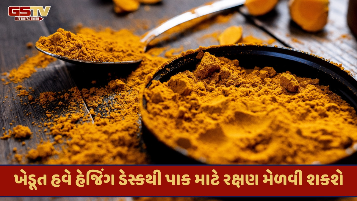 Business Plus : કપાસ, હળદર અને મકાઈના પાક માટે હેજિંગ ડેસ્ક