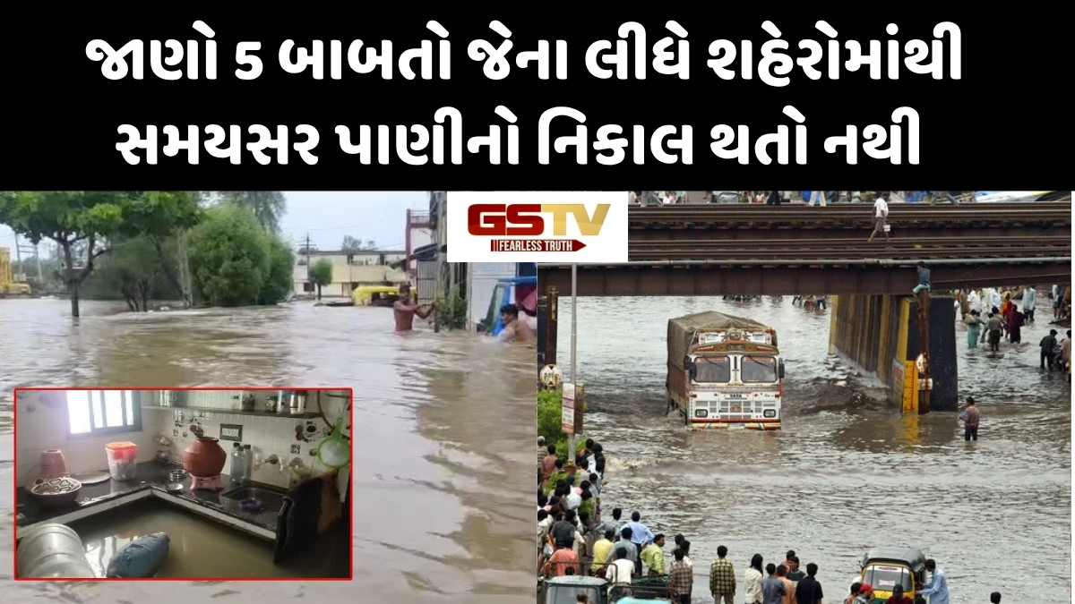 Business: કુદરતી અને માનવસર્જિત આફતમાંથી ગુજરાતના શહેરોને બચાવવાનું આયોજન અને અમલીકરણ જરૂરી છે 