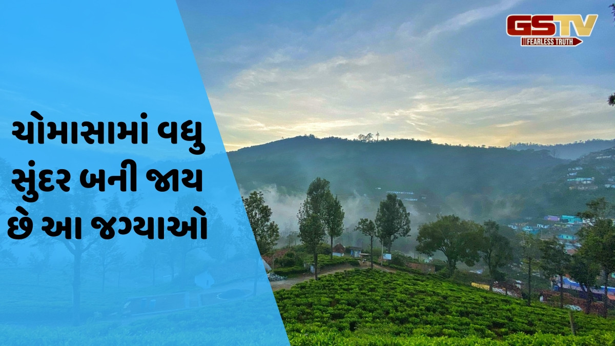 Travel Places / જુલાઈમાં એક્સપ્લોર કરો દક્ષિણ ભારતના આ 5 સ્થળો, અહીંના વાતવરણથી દિલ ખુશ થઈ જશે