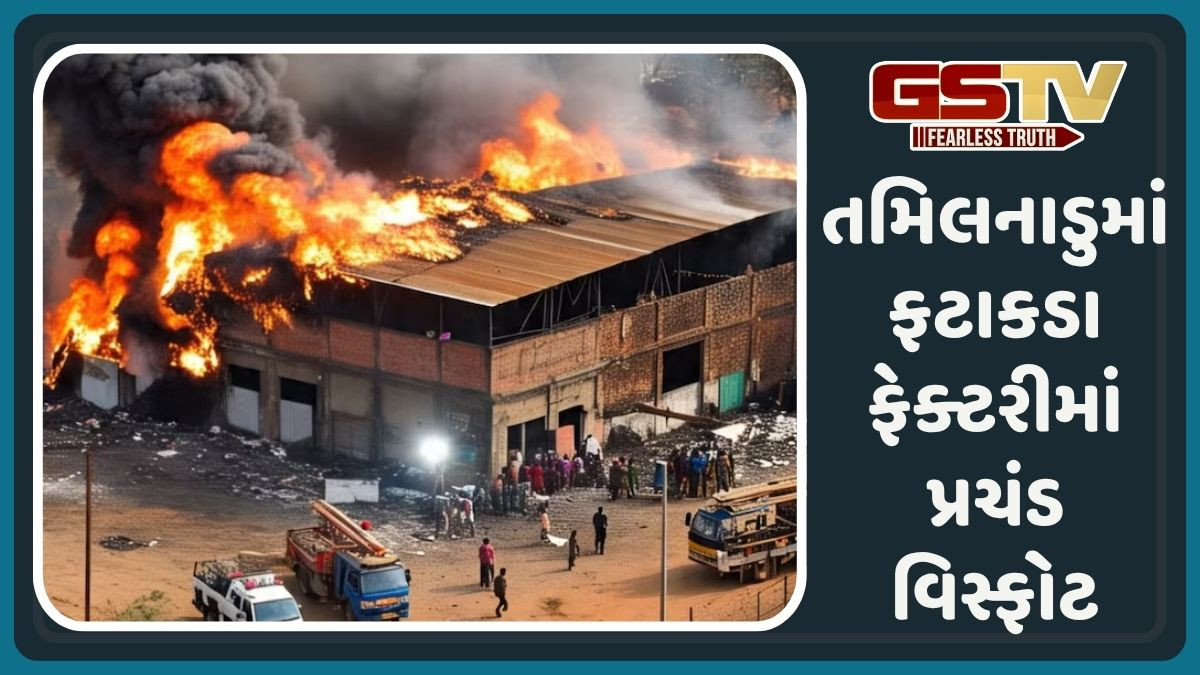 VIDEO: તમિલનાડુમાં ફટાકડા ફેક્ટરીમાં પ્રચંડ વિસ્ફોટ, 6 લોકોના મોત-4થી વધુ ગંભીર રીતે ઘાયલ