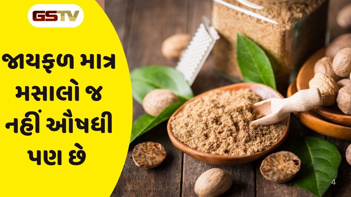 Health Tips : જાયફળના અગણિત લાભ, લીવર સાફ કરવા સહિત આ બીમારીઓ કરશે દૂર
