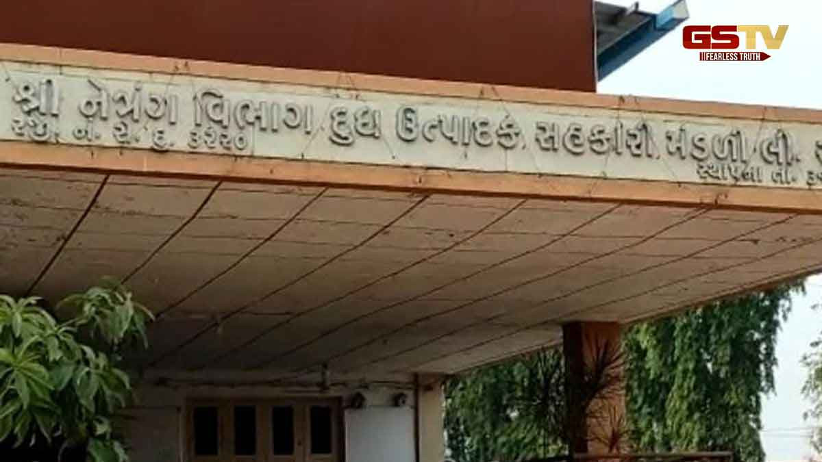 Bharuch News: નેત્રંગ પંથકમાં ચાસવડ ડેરીના ગોડાઉનમાંથી ચોરી, 935 ઘીના ડબ્બા લઈ તસ્કરો ફરાર