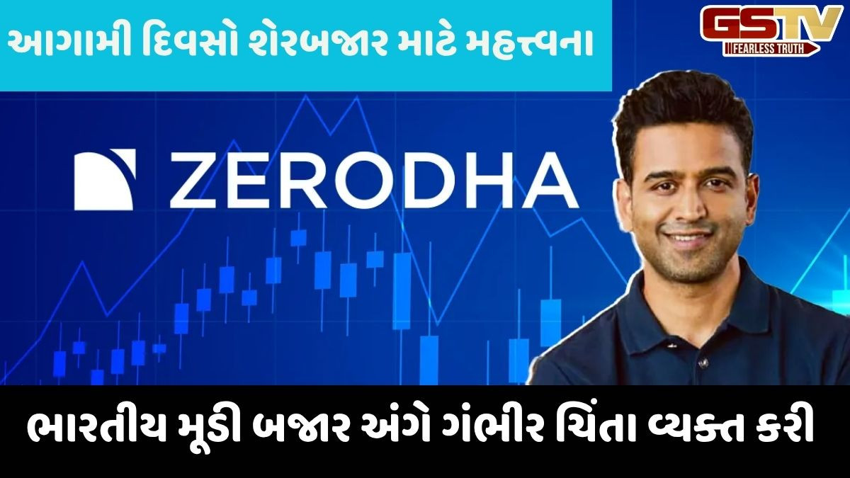 Zerodha:  જેન સ્ટ્રીટ પર SEBIના એક્શનથી બજારનો પાયો હલી જશે એવી ઝેરોધાના સહ સ્થાપક નીતિન કામતે ઉચ્ચારી ચેતવણી