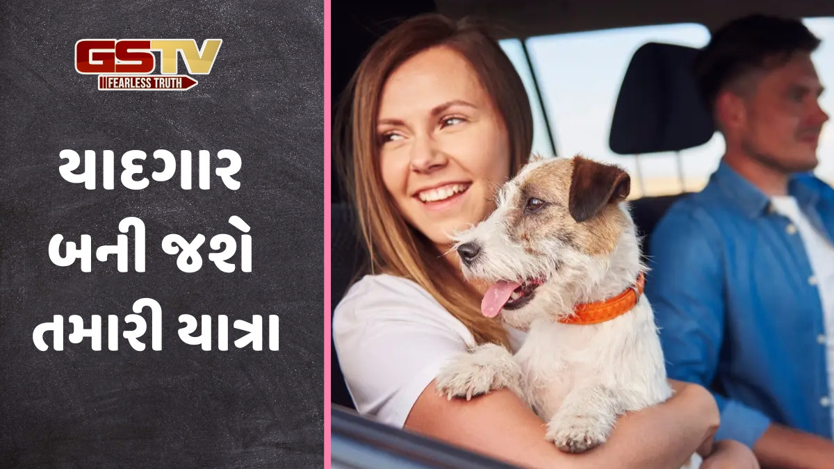 Travel Tips / પેટ્સ સાથે મુસાફરી કરવા માંગો છો? તો અપનાવો આ સ્માર્ટ ટિપ્સ