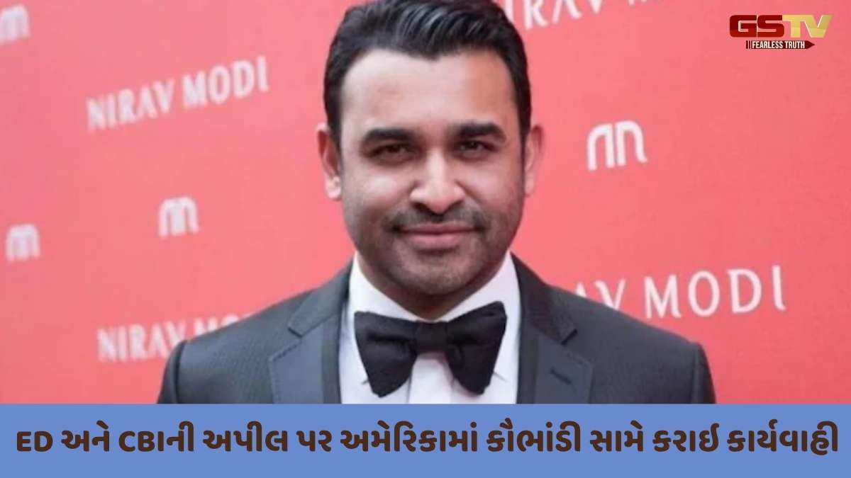 PNB કૌભાંડમાં ભારતને મોટી સફળતા, નીરવ મોદીના ભાઈની અમેરિકામાં ધરપકડ