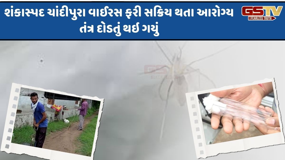 Panchmahal news:  શંકાસ્પદ ચાંદીપુરા વાઈરસનો કહેર,  7 દિવસમાં નોંધાયા 4 કેસ, 3 બાળકોના મોત