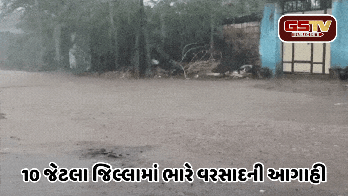 Rain: રાજ્યમાં છેલ્લા 24 કલાકમાં 201 તાલુકામાં પડ્યો વરસાદ, ક્યાં છે એલર્ટ, જાણો લેટેસ્ટ અપડેટ્સ