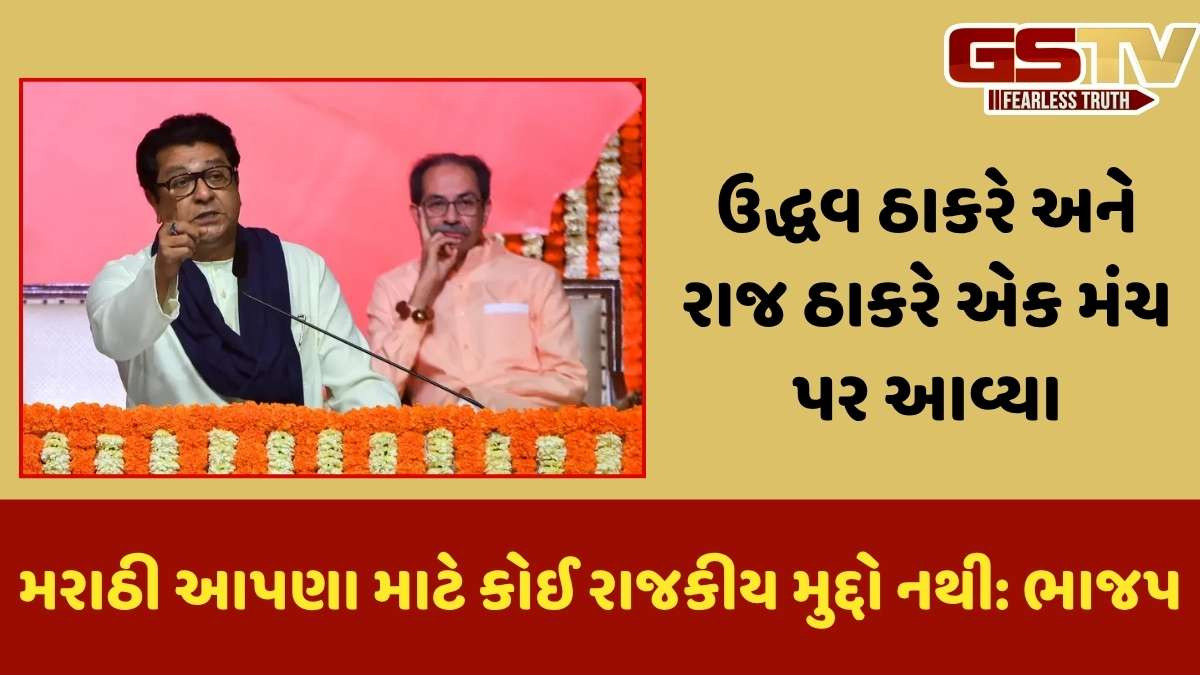 Pahalgam attackમાં આતંકવાદીઓએ ભાષા અને ધર્મ પૂછી હુમલો કર્યો, ભાજપ મનસે પર રોષમાં