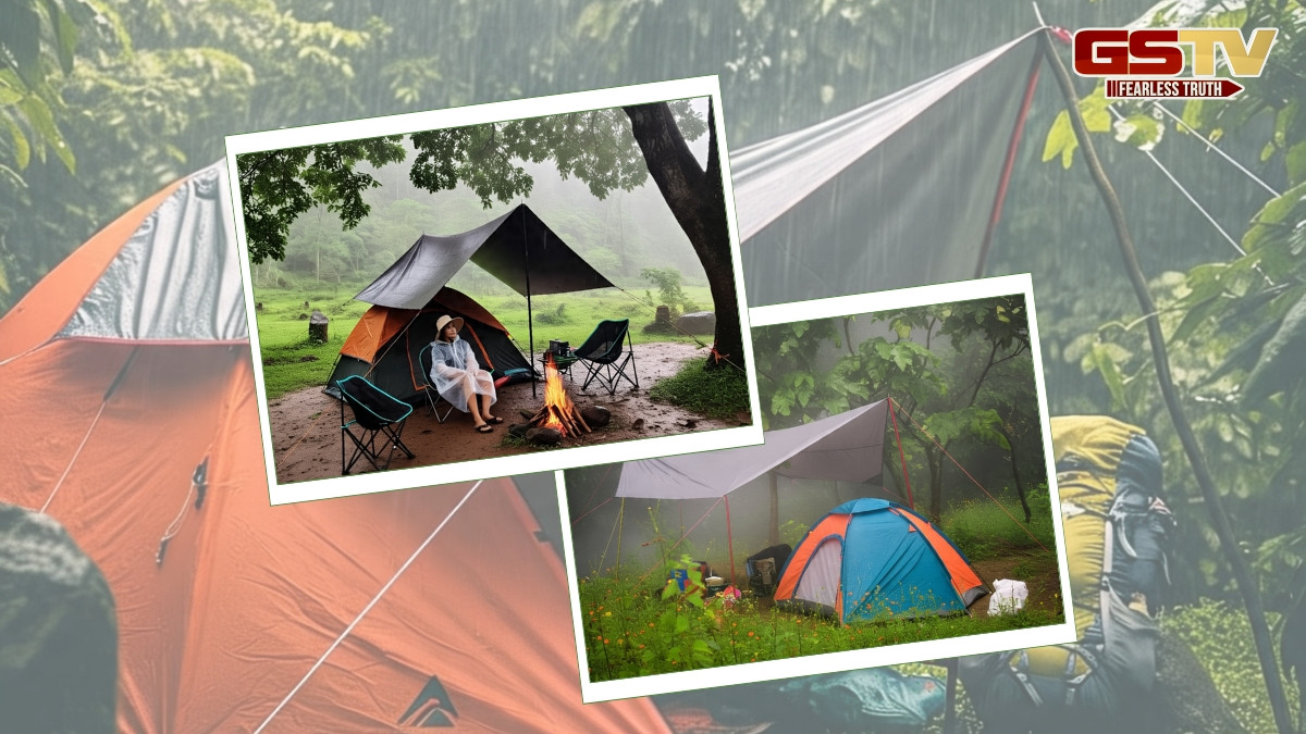 Monsoon Camping Tips / વરસાદની ઋતુમાં કેમ્પિંગનો શોખ છે? આ બાબતો ધ્યાનમાં રાખો નહીં તો થશે પસ્તાવો