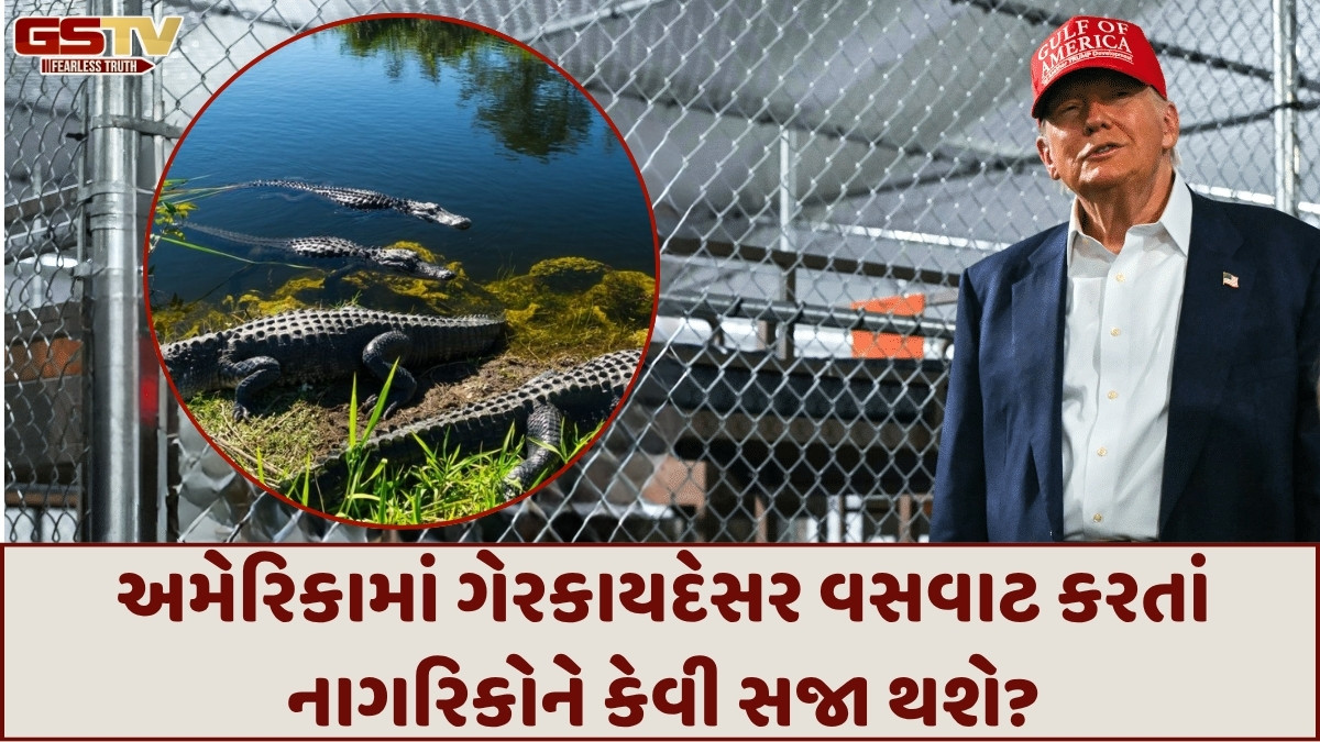 Shatdal: ફ્લોરિડામાં 'એલિગેટર અલ્કાટ્રાઝ' નામની ભયાનક જેલ થઈ ચૂકી છે તૈયાર!