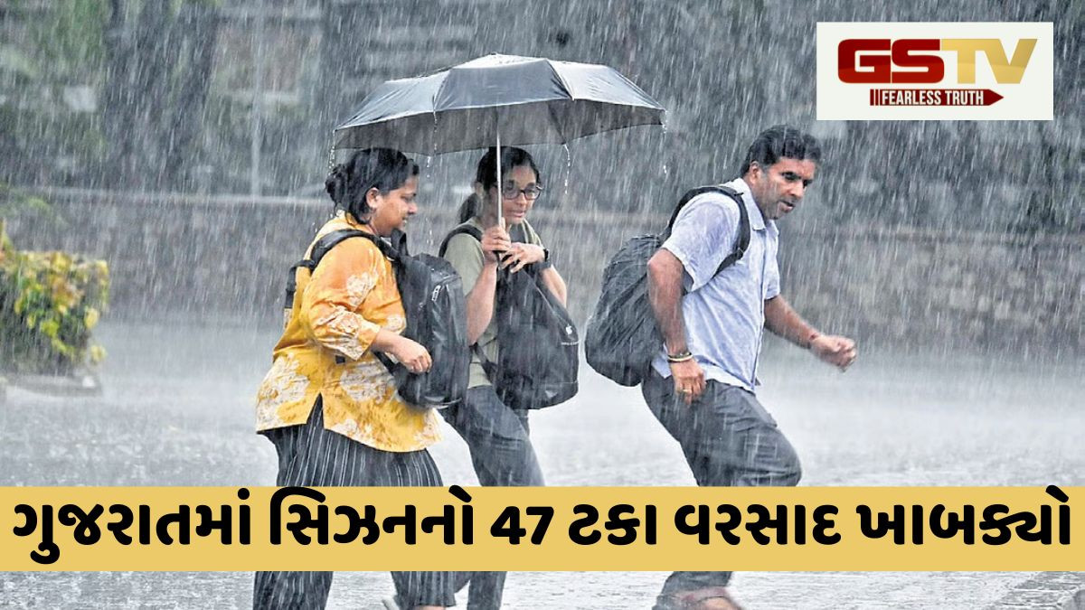 Gujaratના 120 તાલુકામાં વરસાદ, જાણો કયા તાલુકામાં સૌથી વધુ વરસાદ ખાબક્યો