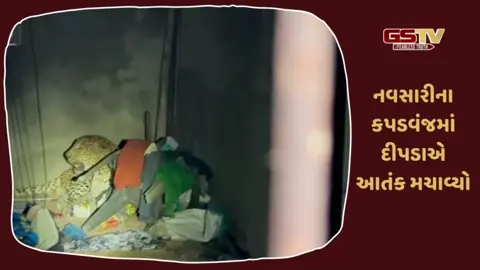 VIDEO/ Navsariમાં દીપડાએ લોકોના ઘરમાં ઘુસી આતંક મચાવ્યો, 4 ઈજાગ્રસ્ત સારવાર હેઠળ