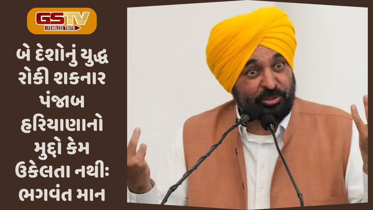 'PM આમંત્રણ વિના પાકિસ્તાનમાં બિરયાની જમી આવ્યાં', ભગવંત માનની ટિપ્પણી અંગે વિદેશ મંત્રાલયનો જવાબ