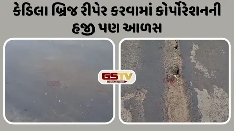VIDEO: અમદાવાદમાં કેડિલા સહિત 5 બ્રિજની જોખમી હાલત, ઈન્સ્પેક્શન કમિટિનો ચોંકાવનારો રિપોર્ટ