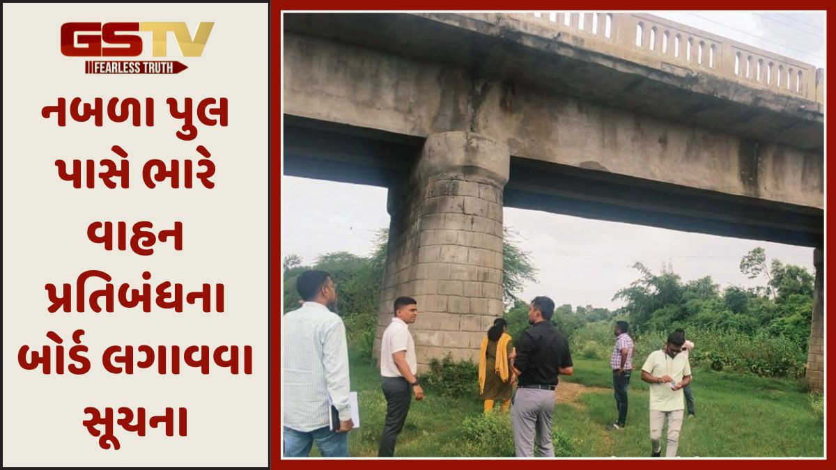 Anand: ગંભીરા પુલ દુર્ઘટના બાદ તંત્ર જાગ્યું, 12 બ્રિજની ચકાસણી કરાઈ