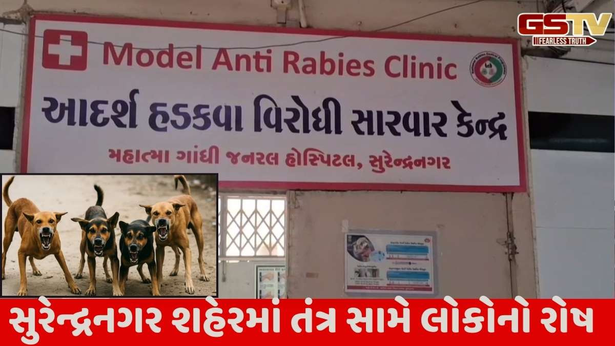 Surendranagar news: શહેરમાં 30 દિવસમાં 1146 લોકોને રખડતા શ્વાને કરડી ખાધા