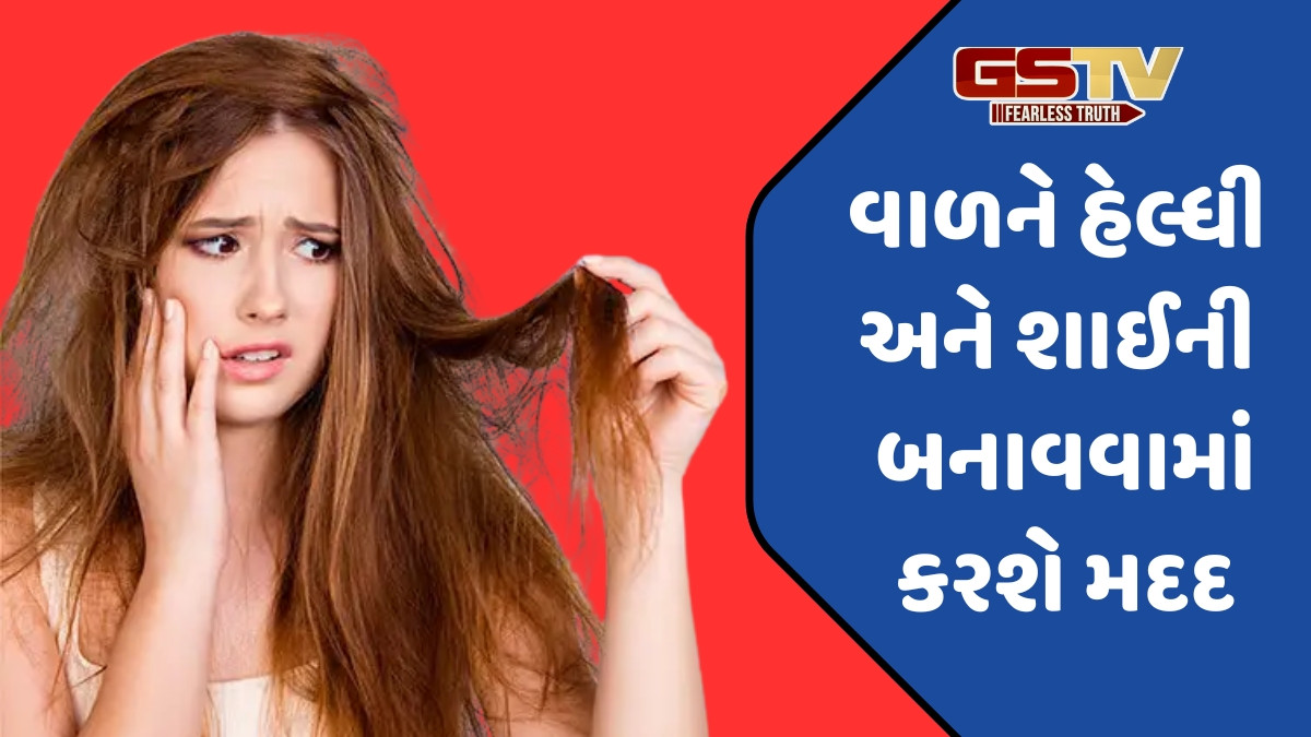 Hair Care Tips / ખોટી સંભાળને કારણે ખરાબ થઈ રહ્યા છે તમારા વાળ? તો હેર ટાઈપ મુજબ રાખો ધ્યાન