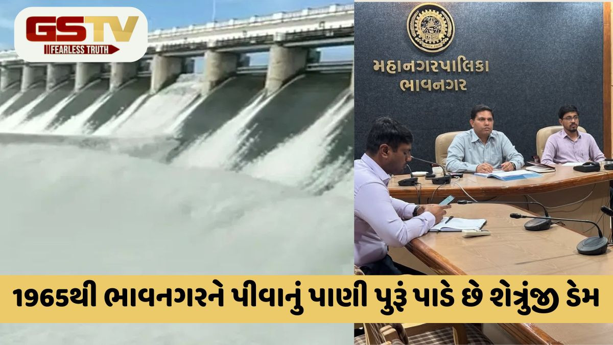શેત્રુંજી ડેમમાંથી પાણી લેતી ભાવનગર મ્યુનિસિપલ કોર્પોરેશન પર રુ.305 કરોડ વ્યાજનું વ્યાજ ચડ્યું