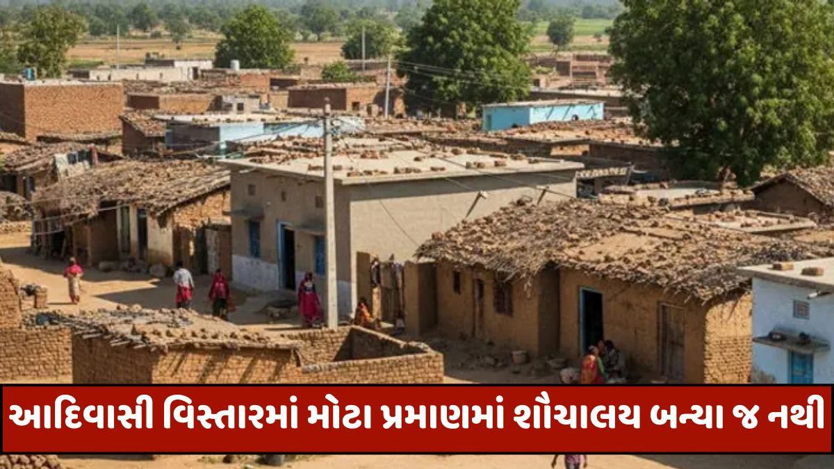 Bharuch: આદિવાસી વિસ્તારોમાં શૌચાલયના નામે રુ.1500 કરોડનું કૌભાંડ