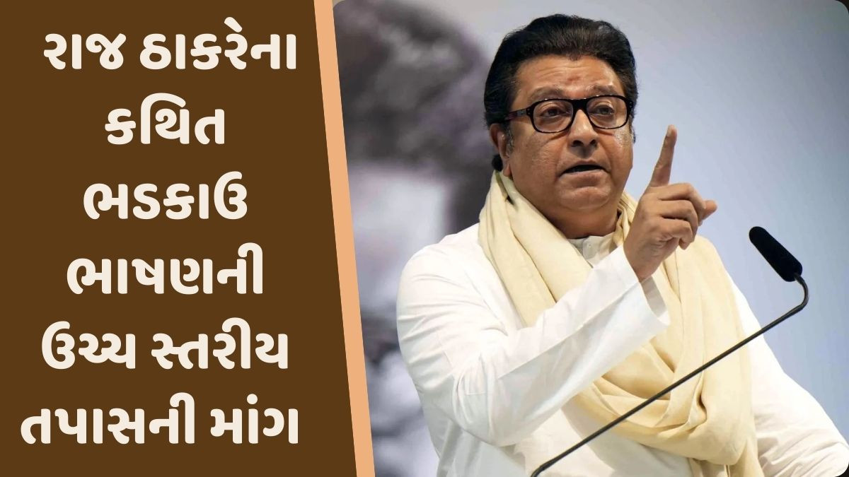 'રાજ ઠાકરે વિરુદ્ધ ફરિયાદ નોંધી તપાસ કરો', હાઈકોર્ટના વકીલોએ મહારાષ્ટ્રના DGPને લખ્યો પત્ર