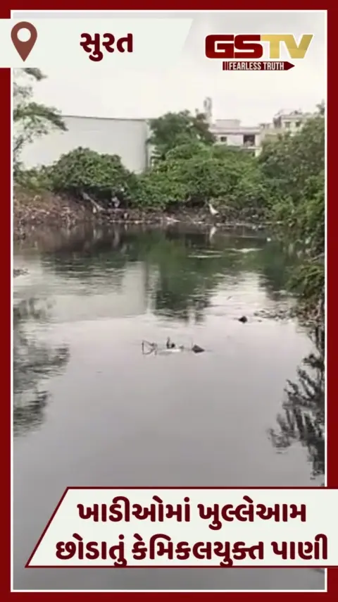 VIDEO: Suratની ખાડીઓમાં ખુલ્લેઆમ છોડાતું કેમિકલ વાળું પાણી, ફેલાતા પ્રદૂષણ સામે GPCBના આંખ આડા કાન