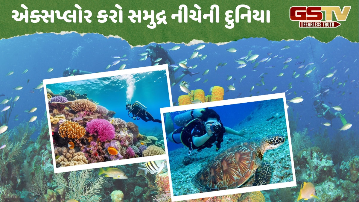 ફક્ત હિલ સ્ટેશનો પર જ નહીં, દરિયામાં પણ મળે છે ટ્રાવેલ થ્રિલ; અહીં માણી શકો છો સ્કુબા ડાઇવિંગનો આનંદ