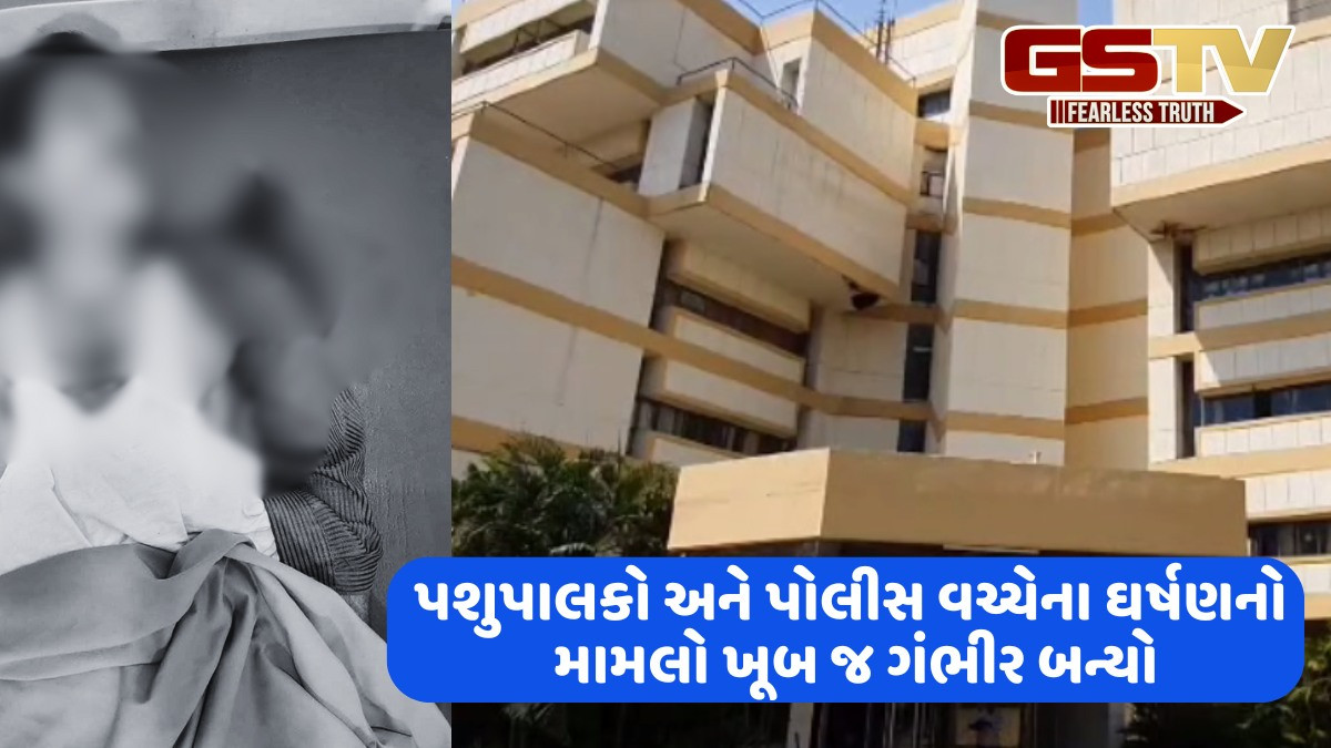 Sabarkantha news: વિરોધ પ્રદર્શન બાદ યુવાન પશુપાલકનું અચાનક મોત, મૃતકના મૃતદેહને સાબર ડેરી પાસે મૂકીને ઉગ્ર વિરોધ
