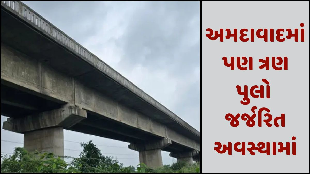 ગંભીરા બ્રિજ દુર્ઘટના બાદ જાગી સરકાર, 97 પુલો પર વાહનવ્યવહાર બંધ, 39 પુલો જર્જરિત