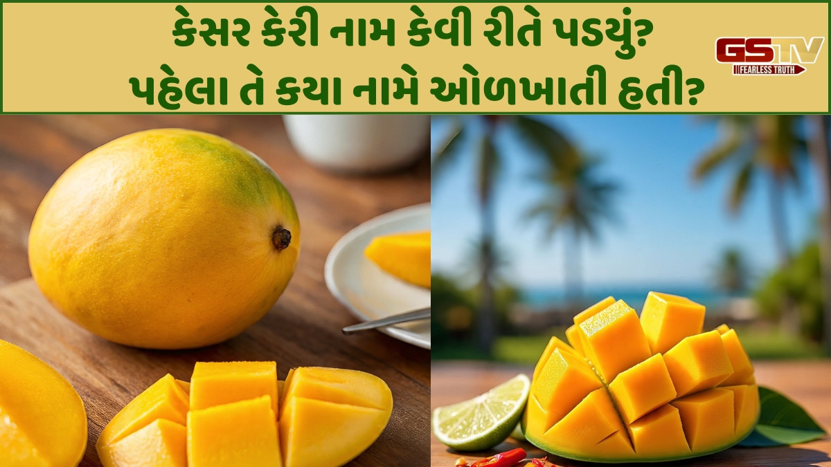 Shatdal: મલ્લિકાર્જુન નામની કેરી ક્યારેય ખાધી છે? 1 કેરીની કિંમત સાંભળી ચોંકી જશો!