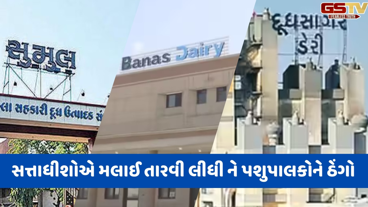 સફેદ દૂધનો કાળો કારોબાર: સહકારી ડેરીઓ ખદબદી રહી છે કૌભાંડ, ભરતી, ભેળસેળ અને ભ્રષ્ટાચારથી