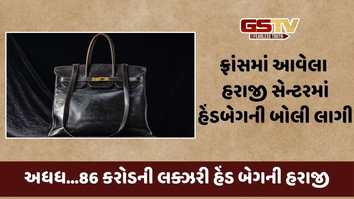 Strange news: માત્ર 10 મિનિટમાં 86 કરોડ રૂપિયામાં હેંડ બેગની હરાજી થઈ, જાણો વિગત