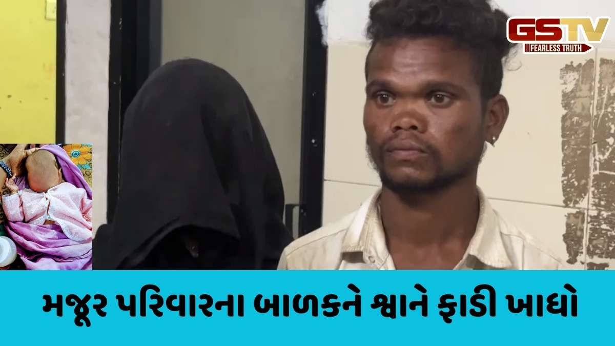 Porbandar news: કોટડા ગામે શ્વાને 2 માસનાં બાળકને ફાડી ખાધો, પરિવાર શોકમાં ગરકાવ