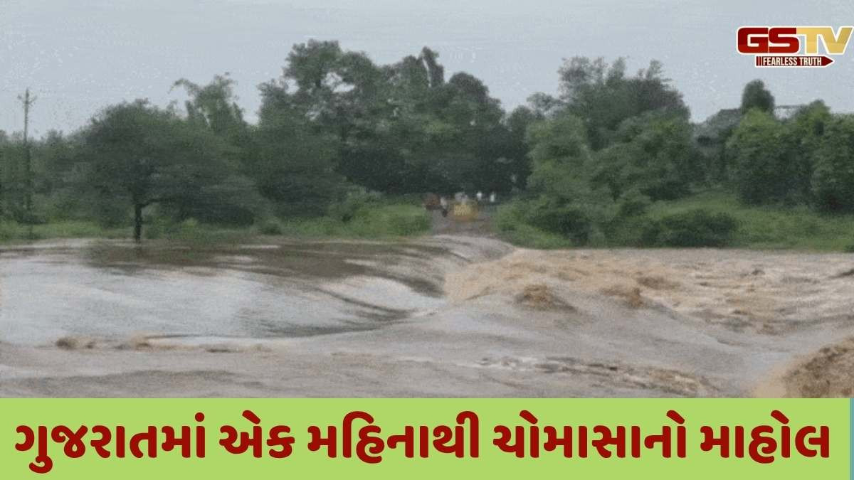 Rainfall in Gujarat: રાજ્યમાં સિઝનનો કુલ 51.9 ટકા વરસાદ પડી ગયો, કચ્છ અને દક્ષિણ ગુજરાતમાં સૌથી વધુ, જાણો વિગતવાર