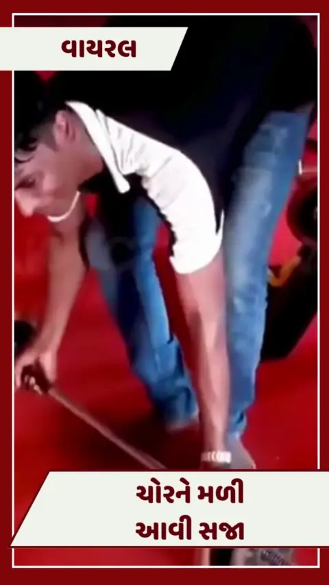 VIDEO : જીમમાં ચોરને ચોરી કરવાની ભારે કિંમત ચૂકવવી પડી, એવી સજા મળી કે શરીરનો દરેક ભાગ તૂટી ગયો