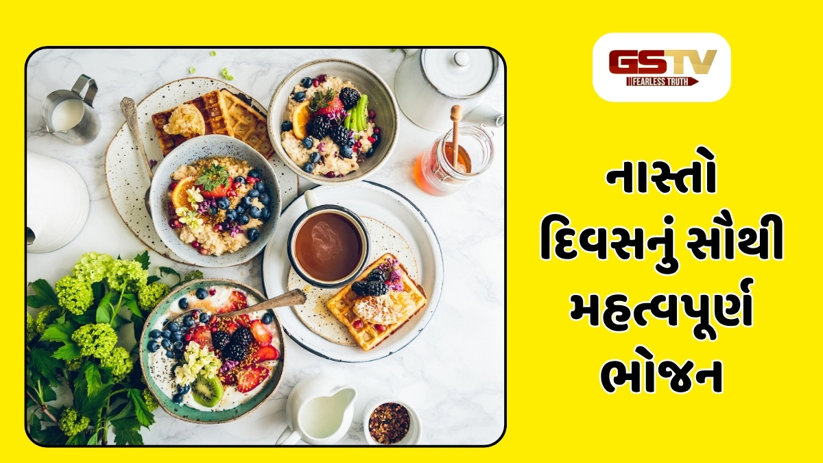 Recipe : નાસ્તામાં કંઈક અલગ બનાવવા માંગો છો, તો આ સરળ વાનગીઓ કરો ટ્રાય