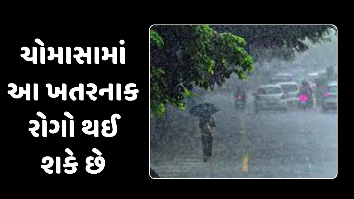 Health Tips: વરસાદમાં આ વસ્તુનું સેવન કરતા હોય તો ચેતી જજો, અન્યથા થઈ શકે છે આ જીવલેણ બીમારી