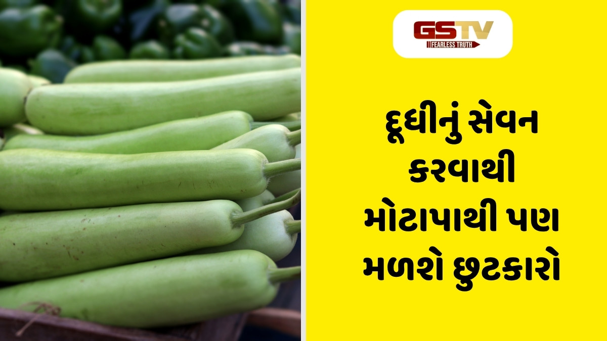 Health Tips: સ્વાસ્થ્ય માટે દૂધી 'અમૃત' સમાન, હૃદય મજબૂત કરવા સહિત થાય છે આ અન્ય લાભો 