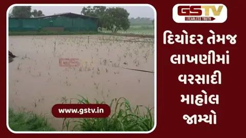 VIDEO: Banaskanthaમાં મધરાતથી જ અવિરત વરસાદ, નીચાણવાળા વિસ્તારોમાં પાણી ભરાયા