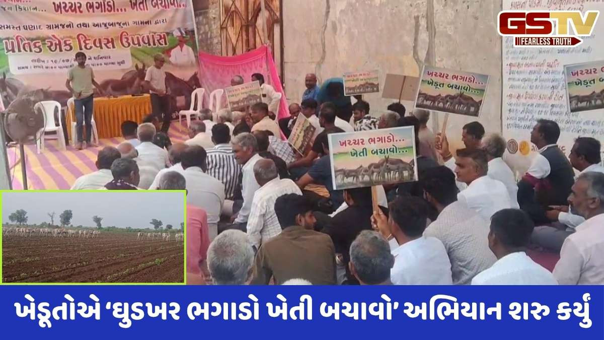 Surendranagar news: ઘણાદ ગામે ઘુડખરના ત્રાસથી ઉપવાસ પર બેઠેલા ખેડૂતોની મુલાકાતે અધિકારીઓ દોડી આવ્યા