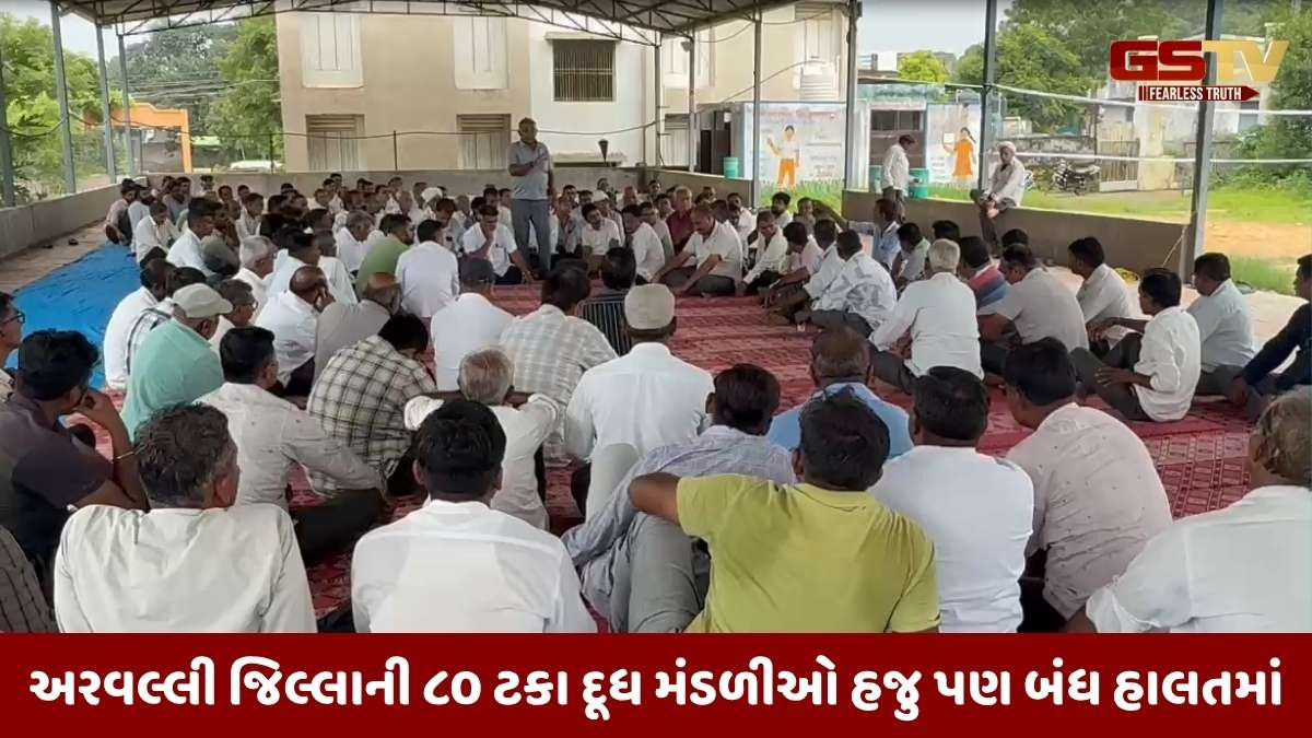 Arvalli news: કિલો ફેટે ભાવ નહીં પણ ૨૦ ટકા નફો આપવાની માંગ સાથે પશુપાલકોની બેઠક, બનાવી આગળની રણનીતિ