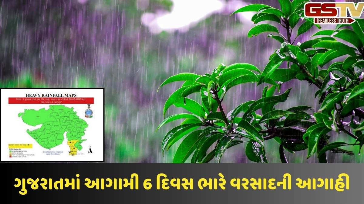 Gujarat Rain Forecast: રાજ્યમાં આગામી 6 દિવસ ભારે વરસાદની આગાહી, આ 15થી વધુ જિલ્લામાં યલો એલર્ટ અપાયું 