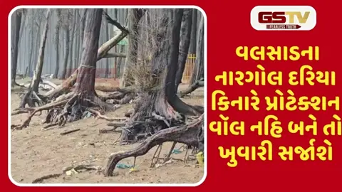 VIDEO: ચોમાસામાં દરિયાઈ ભરતીથી સતત દરિયા કિનારે વૃક્ષોનું ધોવાણ, પ્રોટેક્શન વૉલની માંગ ઉઠી