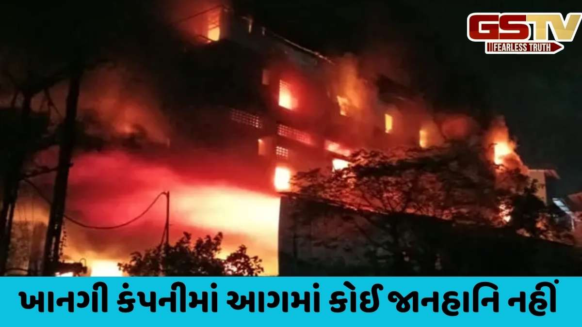 Vapi news: વાપીની પ્લાસ્ટિકની ખાનગી કંપનીમાં આગ, 8 ફાયર બ્રિગેડની મદદ લેવાઈ