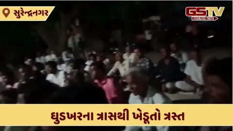 Surendranagar: ઘુડખરના ત્રાસથી પરેશાન ખેડૂતો, રામધૂન કરી તંત્રને જગાડશે, કલેક્ટર કચેરીના ઘેરાવની પણ ચીમકી