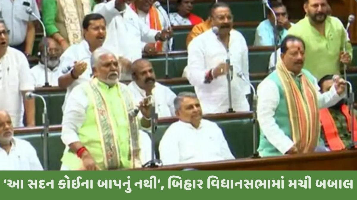 'ગૃહ કોઈના બાપનું નથી...', બિહાર વિધાનસભામાં RJD ધારાસભ્યે નિવેદન આપતાં થઈ બબાલ