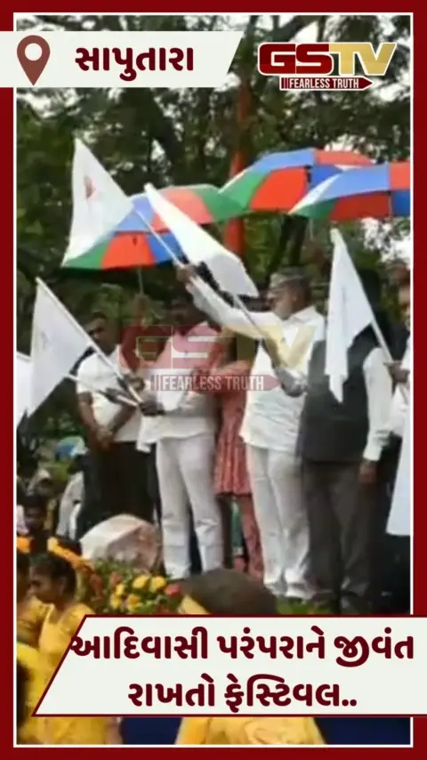 VIDEO: Saputaraમાં મોન્સૂન ફેસ્ટિવલ, કાર્નિવલ પરેડમાં આદિવાસી પરંપરાના થયા દર્શન
