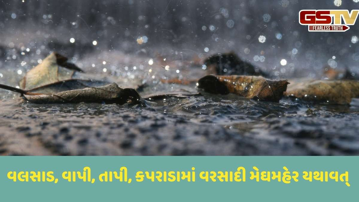 Rain in Gujarat: દક્ષિણ ગુજરાતના આ જિલ્લાઓમાં ખાબકશે સાંબેલાધાર વરસાદ, કપરાડા-વાપીમાં 2 કલાકમાં અઢી ઈંચ વરસાદ વરસ્યો