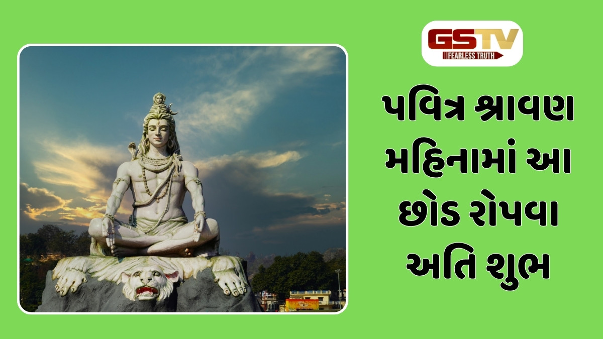 Religion : શ્રાવણ માસમાં ઘરે આ છોડ જરૂર વાવો, નોકરી અને વ્યવસાયમાં કરશો ખૂબ જ પ્રગતિ