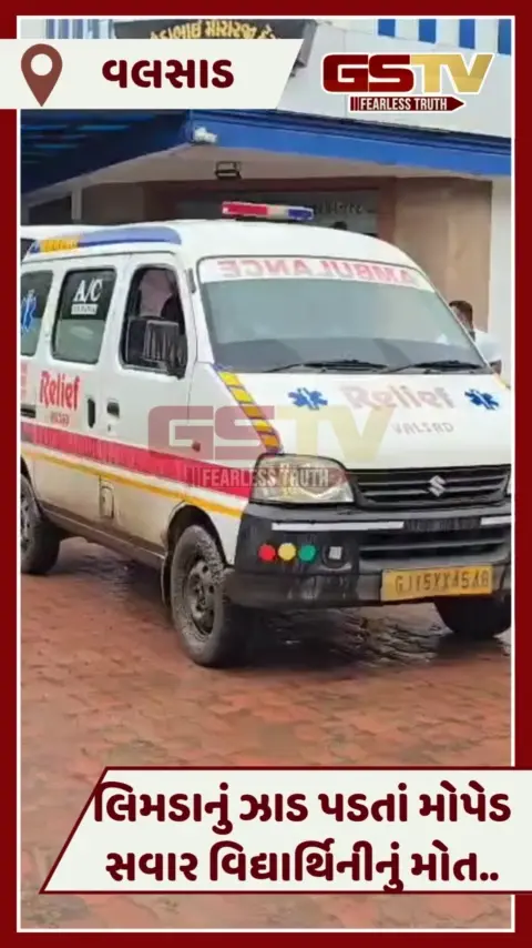 VIDEO: Valsadમાં મોપેડ પર પડ્યું લિમડાનું તોતિંગ ઝાડ, વિદ્યાર્થિનીનું મોત, બે ઇજાગ્રસ્ત